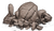 Deco rock 1 ready.png