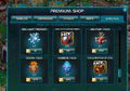 Premium Shop Window9.png