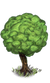 Tree 4