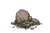 Deco rock 2 ready.png